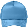 Carolina Blue